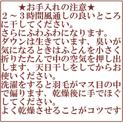 ダウンケット 肌掛け羽毛布団 ダウン70% 洗える シングルロング ペイズリー柄 同柄カバー付き