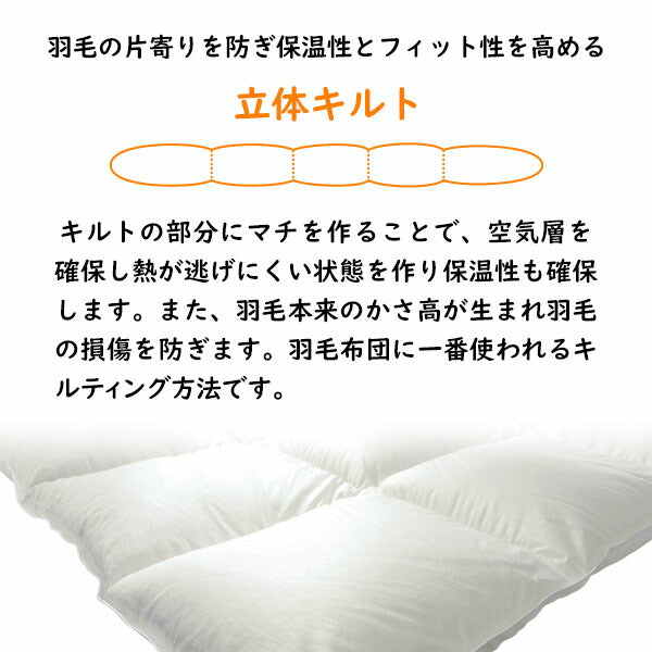 羽毛布団 シングル ダウン70% ポリエステル100% 150×210cm 日本製 ペイズリー