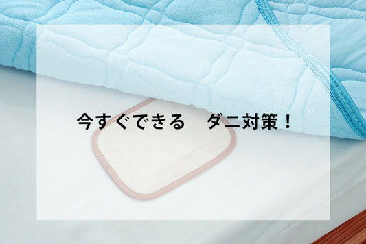 お布団のダニ対策