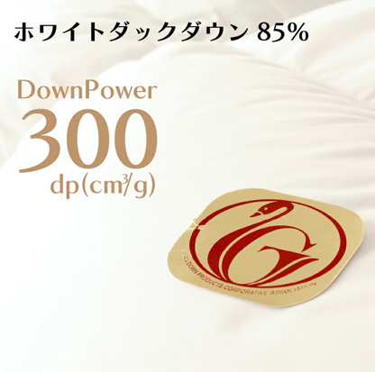 10枚セット 羽毛布団 シングル ロング 150×210cm ホワイトダック ダウン 85% 生成 増量タイプ 業務用