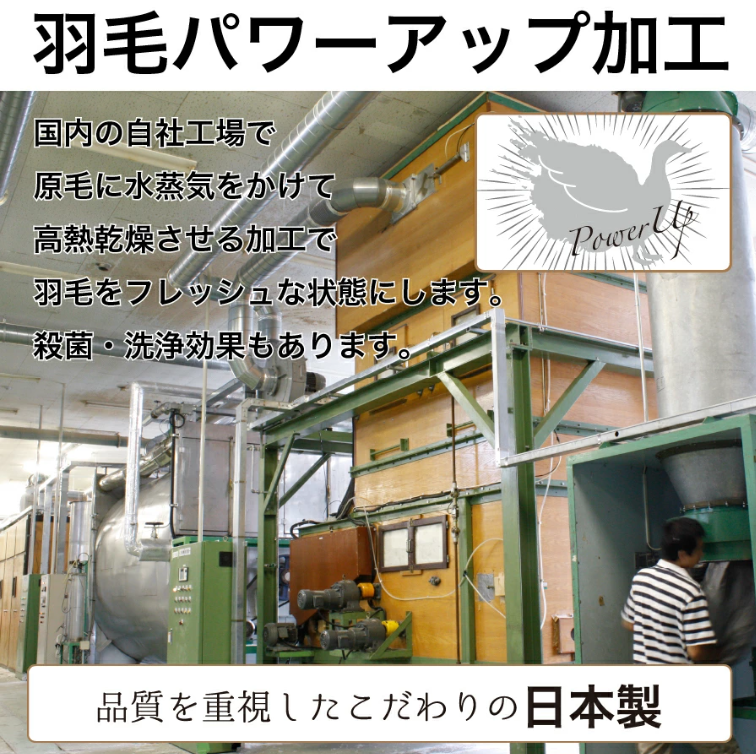 10枚セット 羽毛布団 シングル ロング 150×210cm ホワイトダック ダウン 85% 生成 増量タイプ 業務用