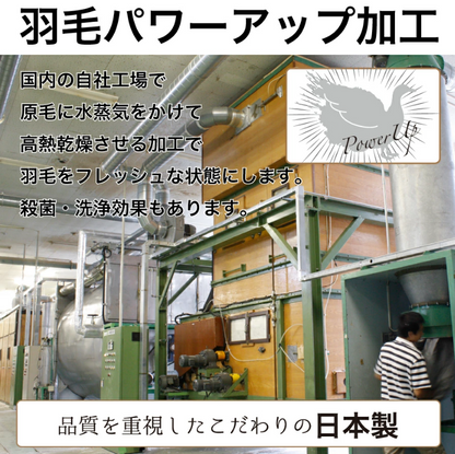 10枚セット 羽毛布団 シングル ロング 150×210cm ホワイトダック ダウン 85% 生成 増量タイプ 業務用