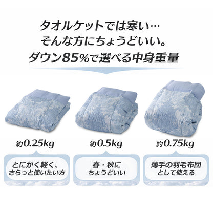 ダウンケット 夏用 羽毛布団 シングル ダウン 85％ 洗える 衿裏 肌面 ガーゼ