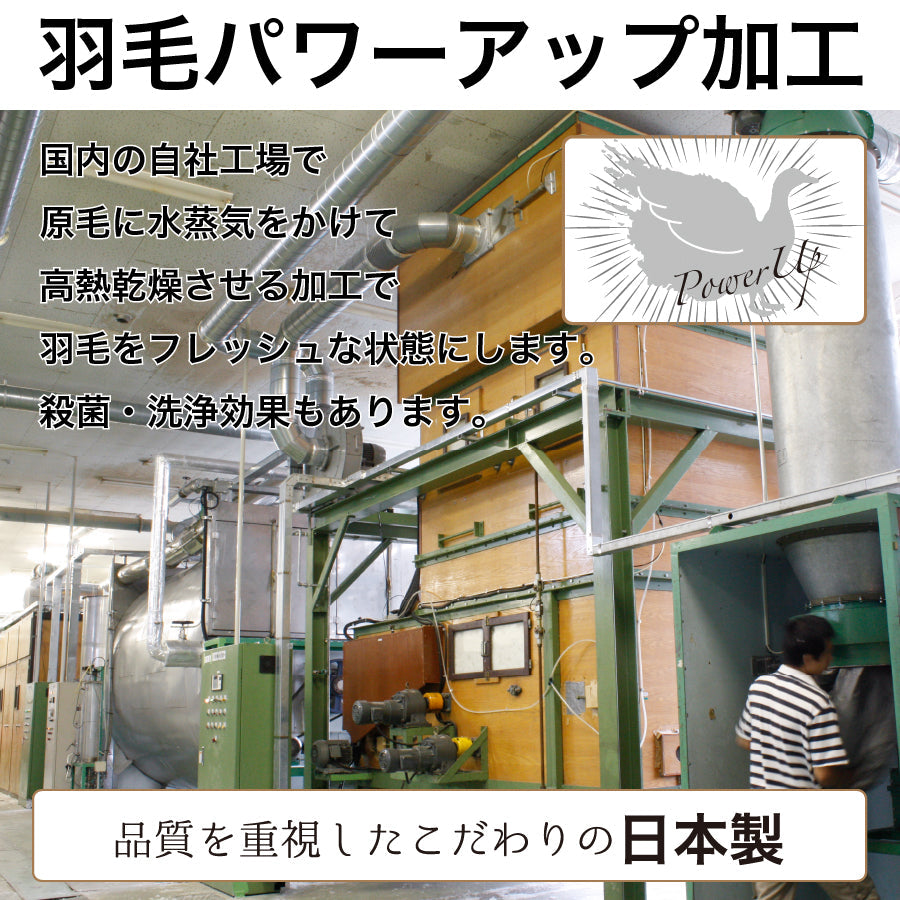 羽毛布団 生成 立体キルト 綿100% ポーランド産ホワイトグース95% プレミアムゴールド 日本製 全8サイズ